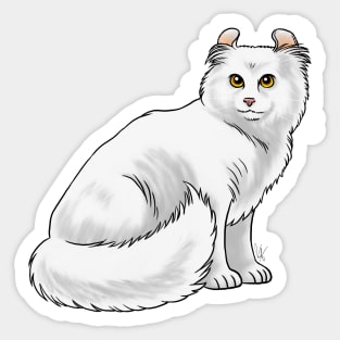 Cat - American Curl - White Sticker